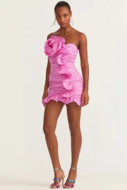 LSF Brenaya Mini Dress