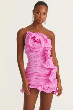 LSF Brenaya Mini Dress